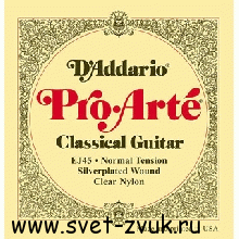   D'Addario EJ45 -    ,  (Silver), Normal Tension